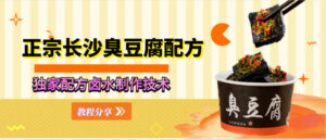 老长沙臭豆腐正宗独家配方教材-构词网