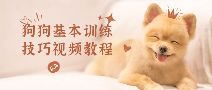 狗狗基本训练技巧视频教程-1