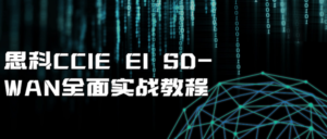 思科CCIE EI SD-WAN全面实战教程-构词网