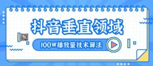 2020抖音垂直领域内训课程，100W播放量热门技术推荐算法（完结）-构词网
