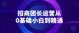 招商团长运营从0基础小白到精通-构词网