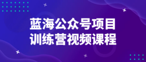 蓝海公众号项目训练营视频课程-构词网