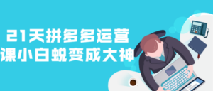 21天拼多多运营课小白蜕变成大神-构词网