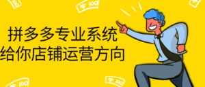拼多多专业系统给你店铺运营方向-构词网