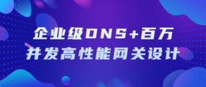 企业级DNS+百万并发高性能网关设计-构词网