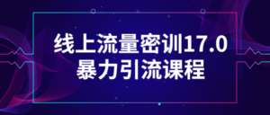 线上流量密训17.0暴力引流课程-构词网