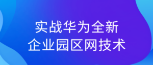 实战华为全新企业园区网技术-构词网