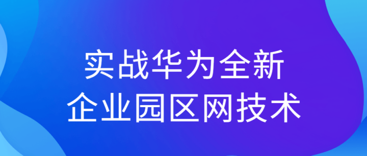实战华为全新企业园区网技术-构词网