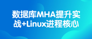 数据库MHA提升实战+Linux进程核心-构词网