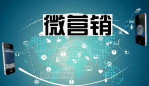 张辉：微营销总裁班实战课程11集版全集-构词网