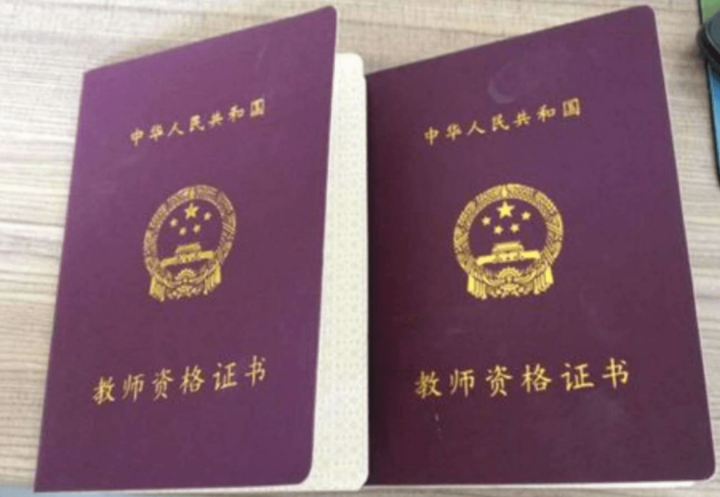 人美版小学美术教师资格证面试试讲视频学习资料-1