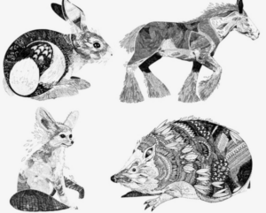 动物手绘艺术技巧视频教程-构词网