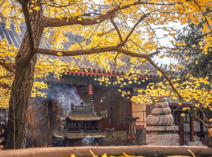 名山古刹赏析13景-构词网