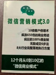 微信营销全攻略3.0（从月收入3500元到月进账10万的微商成功创业秘诀）PDF高清版-构词网