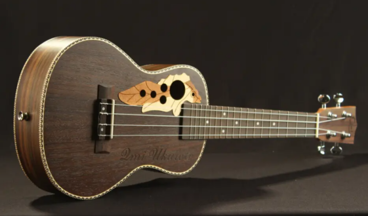 七星乐器吉他入门教学视频全14讲-1