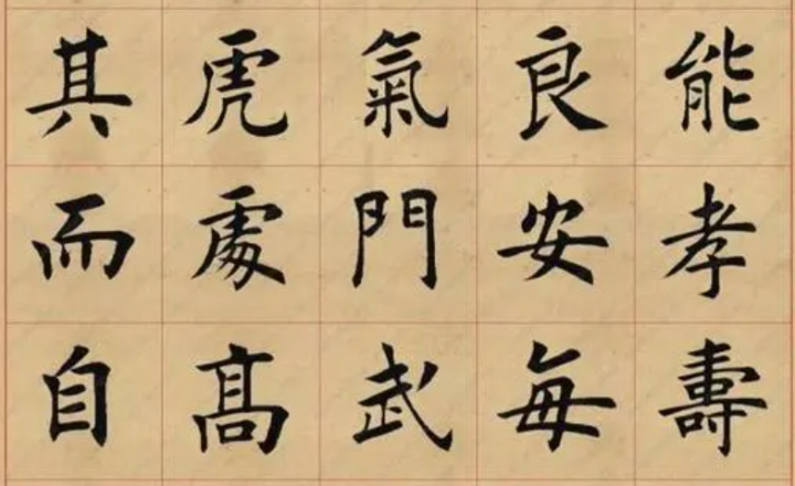 杨再春：书法病院-名家教你练书法4vcd-1