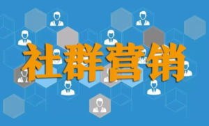 社群营销 方法、技巧与实践-构词网