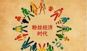 成功营销，要走心 粉丝经济的完美实践与执行方案-构词网