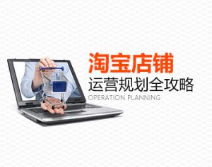 做好淘宝:淘宝店铺运营规划全攻略-构词网