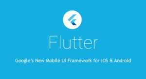 Flutter开发:Flutter从入门到进阶实战课程-构词网