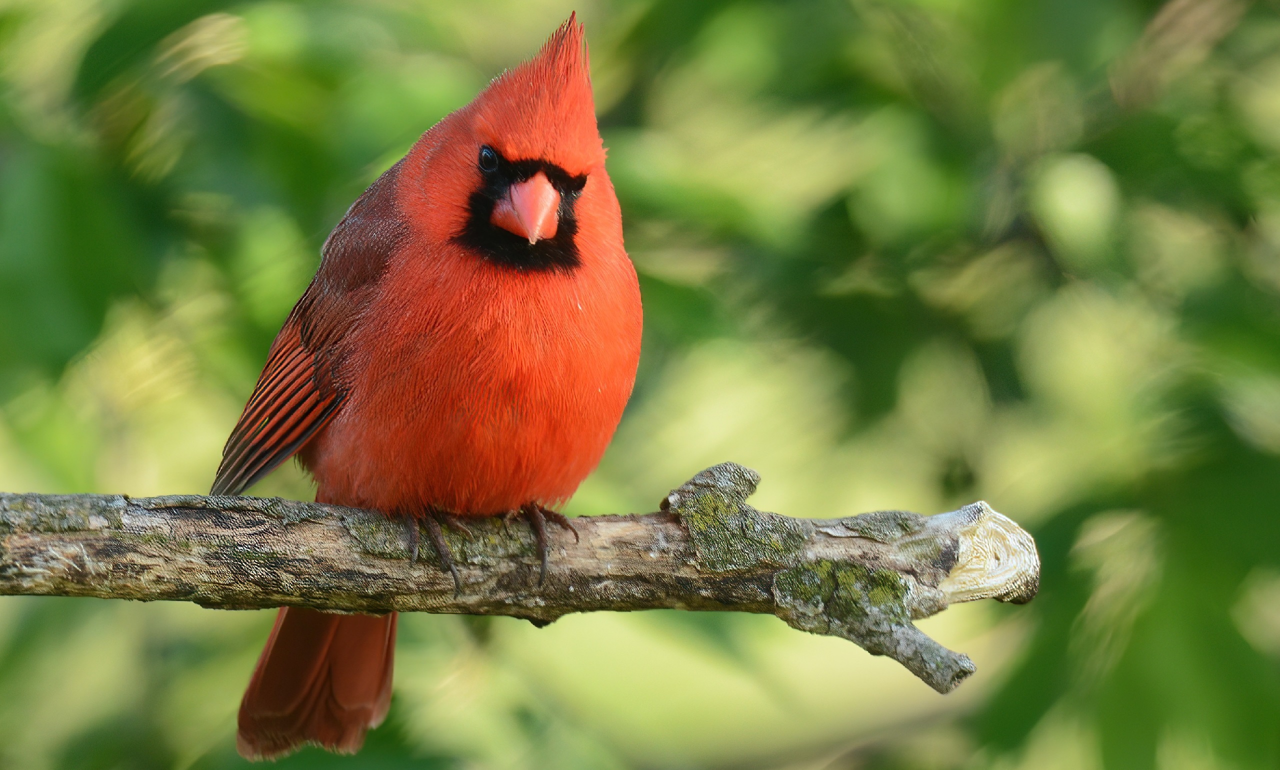 构词网-构建你的自媒体网络运营、引流，网络推广、赚钱的学习平台