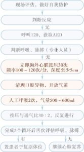 40多种急救技能求生技能视频教学-构词网