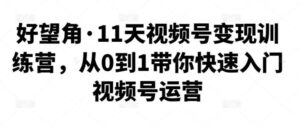 好望角·11天视频号变现训练营教程-构词网
