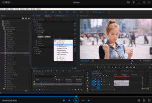 陈京京PR剪辑调色班画质高清有素材-构词网
