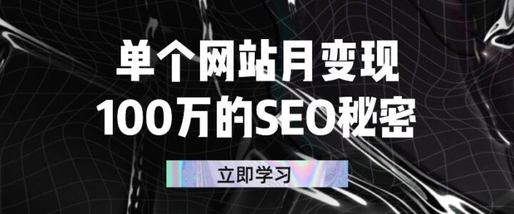 单个网站月变现100万的SEO秘密-构词网