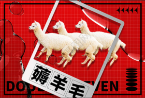 连羊毛党都没能薅走的羊毛，说不定你行-构词网