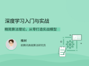 深度学习入门与实战精简算法理论-构词网