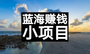 新手操作实体蓝海项目，两招引流方法能月入过万-构词网