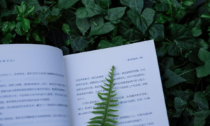 小白如何快速写出引流文案模型?只需要这2个模型,让你拥有源源不断的精准流量-构词网