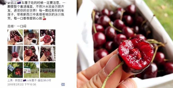 微信上做水果生意