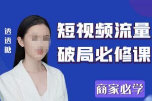 2023最新透糖短视频流量破局必修课-构词网