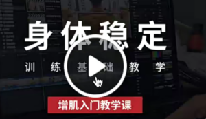 身体稳定训练基础增肌入门教学课-构词网