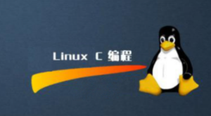 linux C/C++编程全套教程一码农有道-构词网