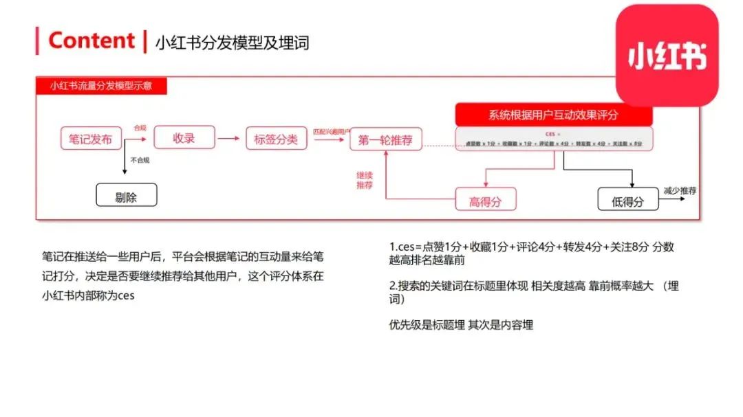 图片[28]-小红书整体框架及玩法【完整版】-构词网