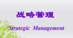 【汤明哲】战略管理导论-构词网