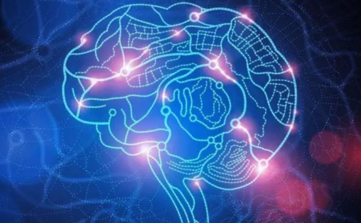 【认知心理学】认知神经科学-构词网