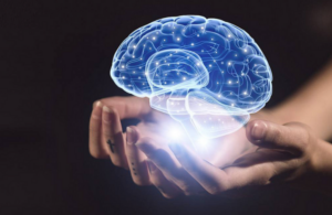 【感性】思维模型-构词网