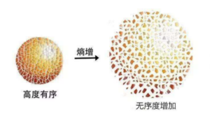 【新科学世界观】熵增定律与边缘化-构词网
