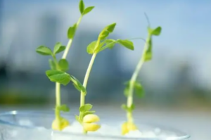 【创意心法】从生活到生命的思考-构词网