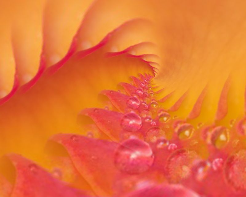 女性使用手机管理社交媒体账号